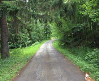 A Visit to Mountain Laurel Recovery Center