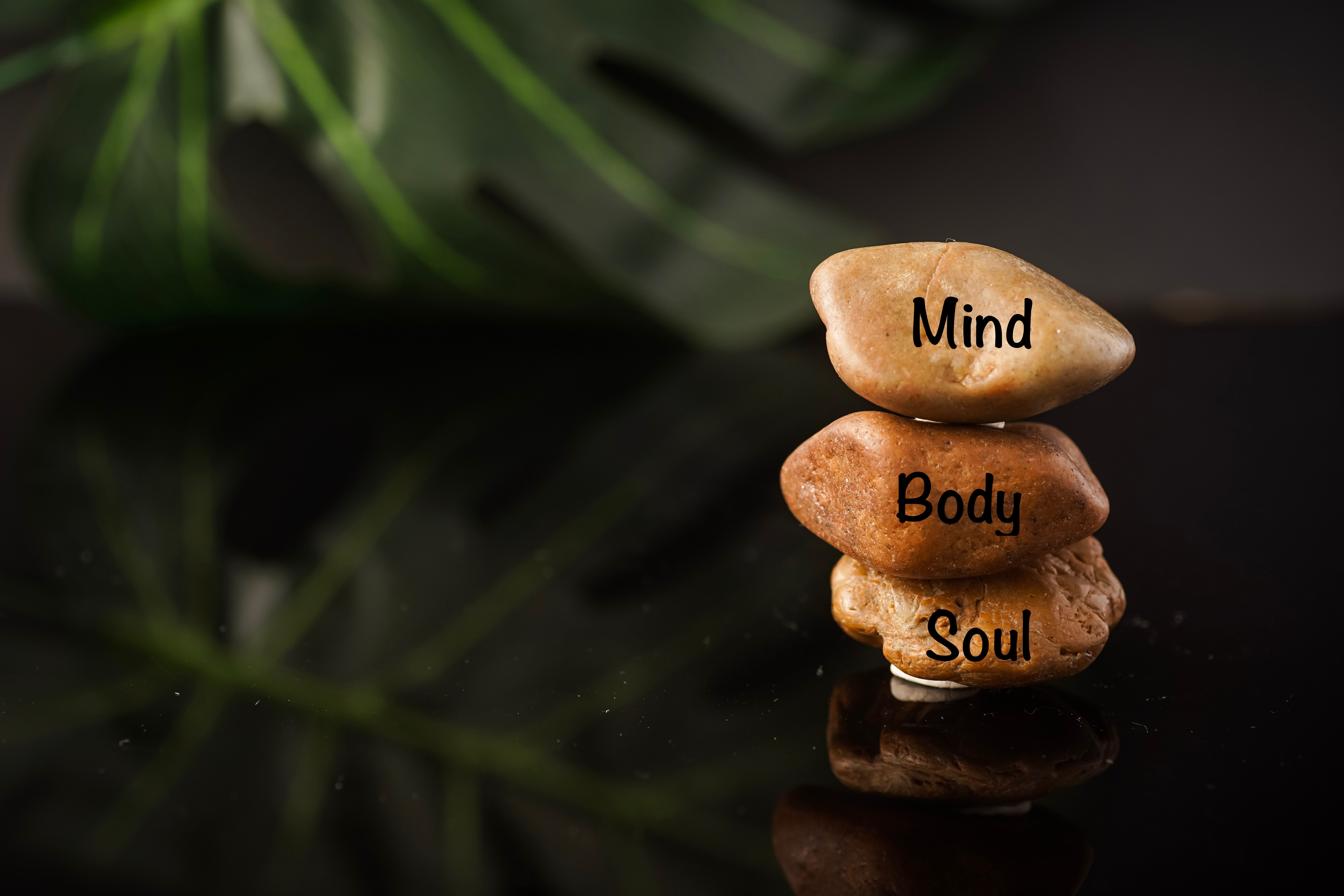 Holistic Therapies in Recovery