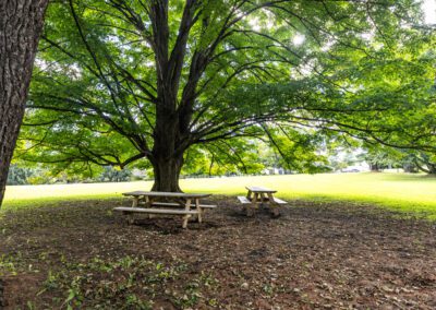 Mountain Laurel Recovery Center - Pennsylvania Alcoholism and Addiction Treatment Center - residential inpatient treatment center - picnic benches